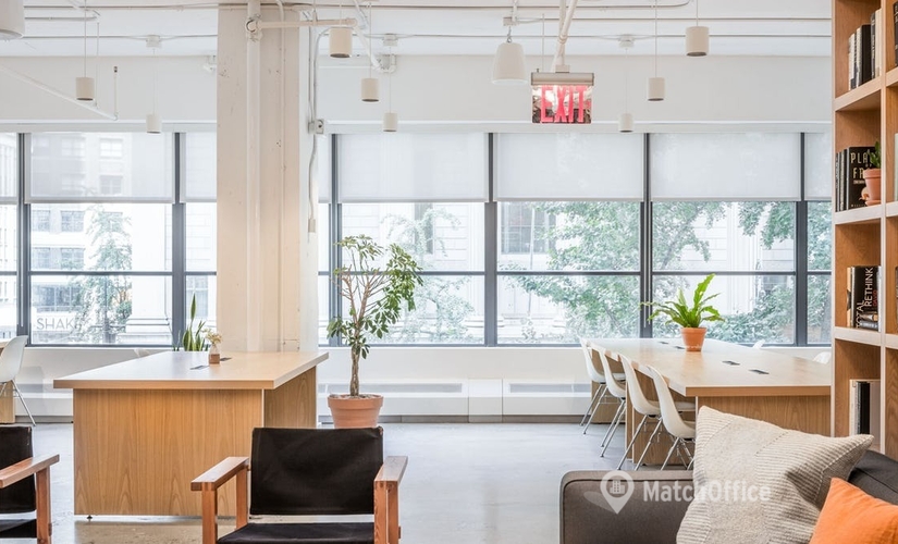 2153 m² Co-working  in New York City, NY, 6th Avenue 980 (10001) - 2 | MatchOffice.com