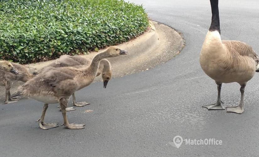 Virtual office space in Birmingham, AL, One Chase Corporate Center (35244) - 2 | MatchOffice