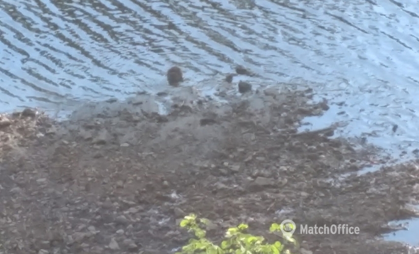 Virtual office space in Birmingham, AL, One Chase Corporate Center (35244) - 3 | MatchOffice.com