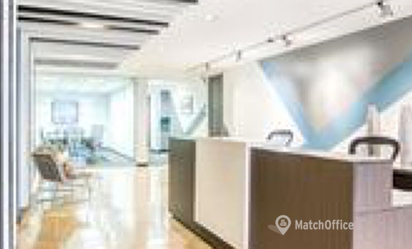 Virtual address in Chicago, IL, 605 N. Michigan Avenue (60611) - 0 | MatchOffice