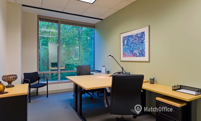 1076 m² Business center in Alpharetta, North Point Center East 555 (30022) - 0 | MatchOffice
