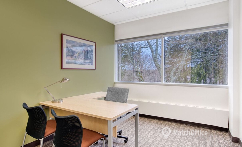 Virtual business address in Rye, NY, 411 Theodore Fremd Avenue (10580) - 0 | MatchOffice.com