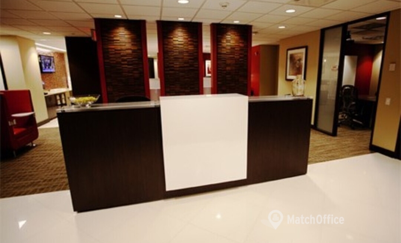 1076 m² Meeting room in Hawthorne, NY, Skyline Drive 7 (10532) - 1 | MatchOffice