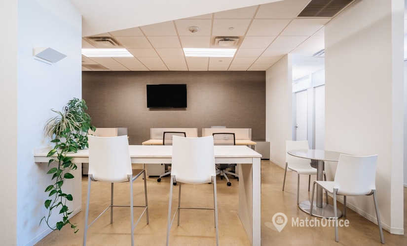 2691 m² Shared office  in Annapolis, MD, 1910 Towne Centre Boulevard (21401) - 4 | MatchOffice.com