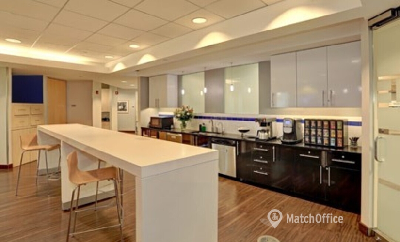 2691 m² Coworking space  in Schaumburg, IL, 10 N. Martingale Rd. (60173) - 0 | MatchOffice.com