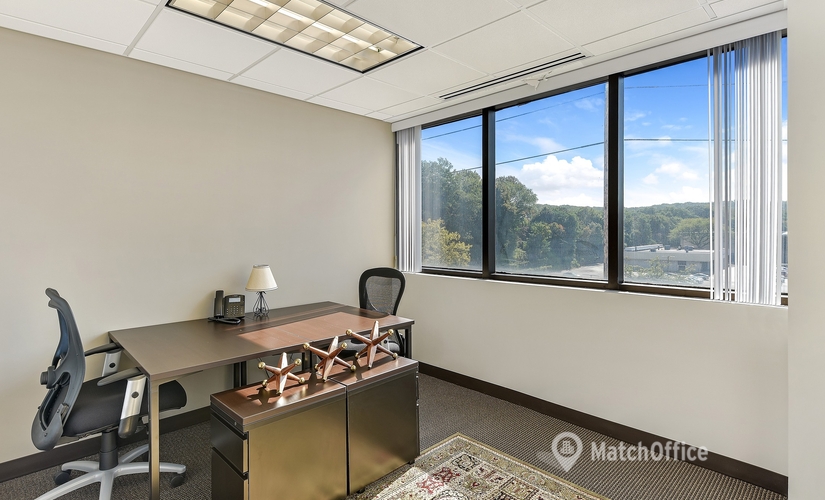 1076 m² Conference space in New York City, NY, 1129 Northern Blvd. (11030) - 4 | MatchOffice