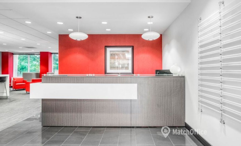 2691 m² Serviced office in Weston, FL, 2200 N. Commerce Parkway (33326) - 3 | MatchOffice