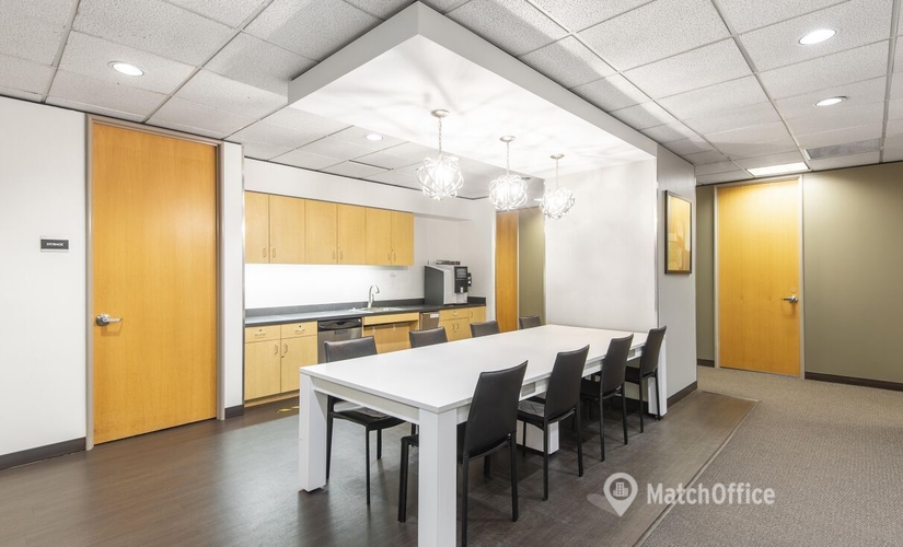 1076 m² Conference room in Schaumburg, IL, North Martingale Road 10 (60173) - 4 | MatchOffice