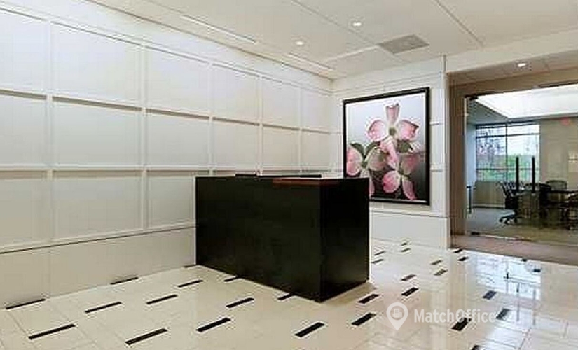 2691 m² Business center in Jacksonville, FL, 50 N. Laura Street (32202) - 4 | MatchOffice
