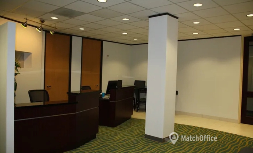 2691 m² Co-working  in Houston Central, TX, 7500 San Felipe Street (77063) - 2 | MatchOffice.com