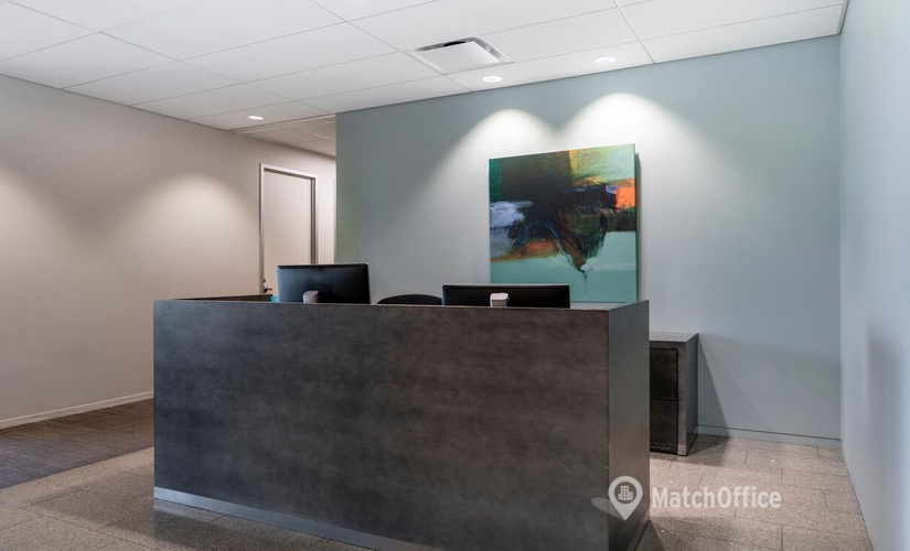 2691 m² Business space in Las Vegas, NV, 1980 Festival Plaza Drive (89135) - 2 | MatchOffice.com