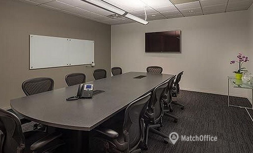 Virtual address in Las Vegas, NV, 1980 Festival Plaza Drive (89135) - 2 | MatchOffice.com