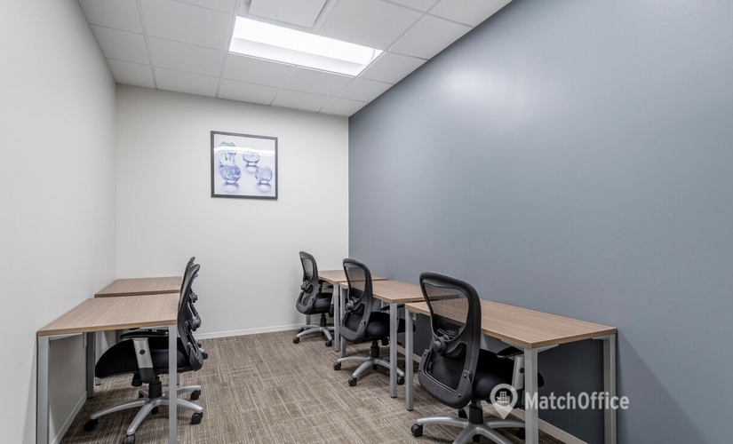 2691 m² Co-working  in Las Vegas, NV, 1980 Festival Plaza Drive (89135) - 1 | MatchOffice.com