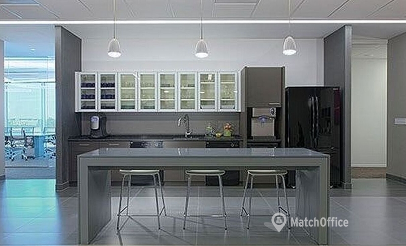 2691 m² Coworking space  in Las Vegas, NV, 1980 Festival Plaza Drive (89135) - 4 | MatchOffice
