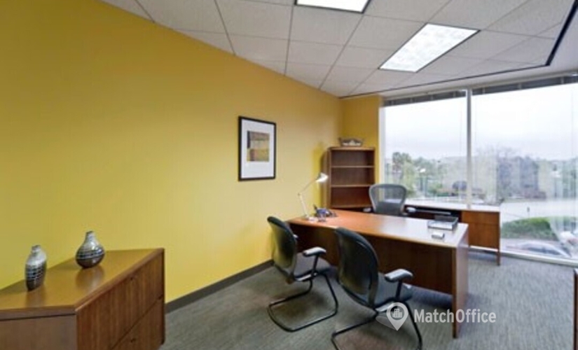 2691 m² Shared workspace  in Tampa, FL, 3001 N. Rocky Point Drive East (33607) - 4 | MatchOffice