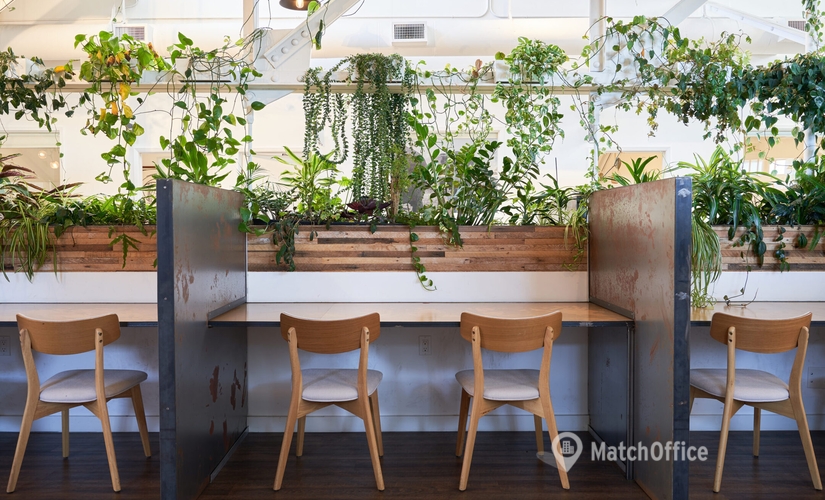 40 m² Co-working  in Berkeley, CA, Eighth Street 2611 (94710) - 4 | MatchOffice
