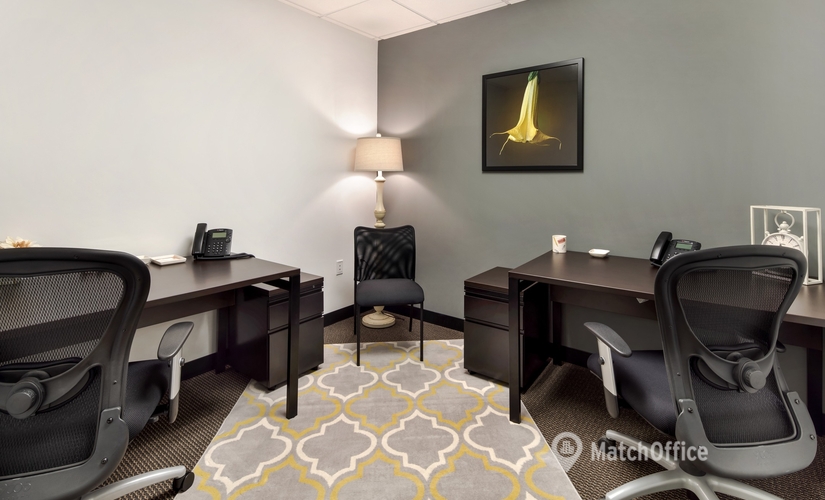 1076 m² Conference hall in Lansing, MI, 120 Washington Square (48933) - 4 | MatchOffice.com