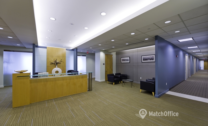 Virtual business address in Atlanta, GA, 1230 Peachtree Street North East (30309) - 3 | MatchOffice.com