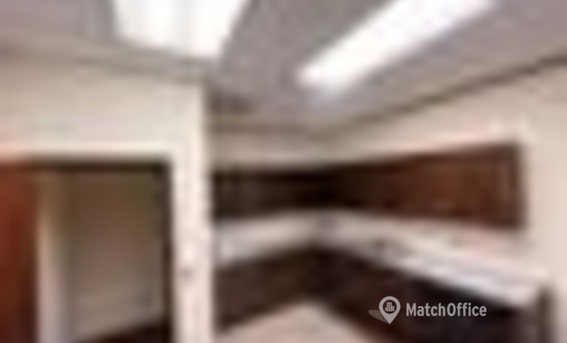 46608 m² Serviced office in Addison, TX, 14665 Midway Dr. (75001) - 3 | MatchOffice