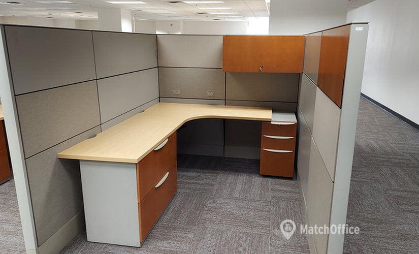 8000 m² Business center in Tampa, FL, 610 E Zack Street (33602) - 1 | MatchOffice.com