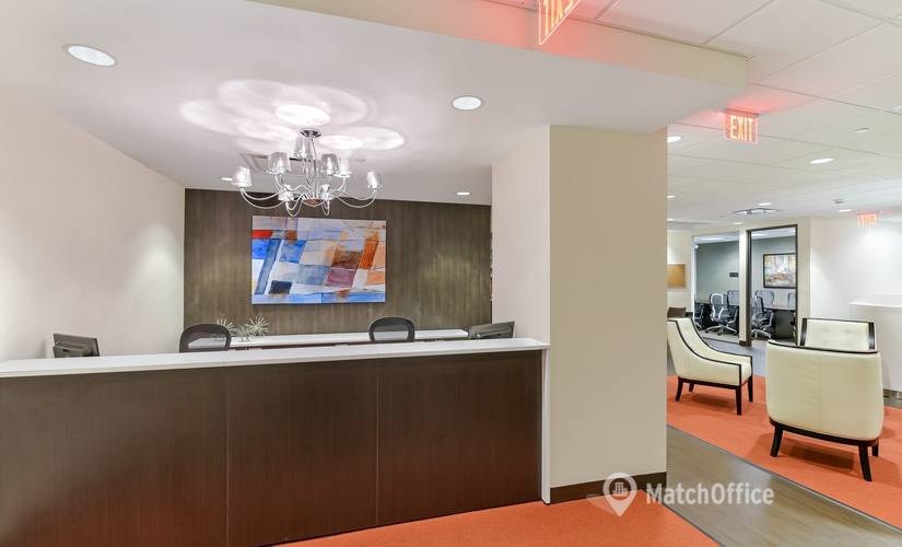 Virtual office space in New York Midtown East, NY, 100 Duffy Avenue (11801) - 4 | MatchOffice