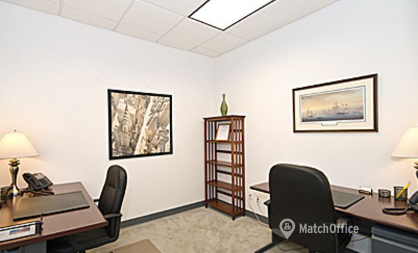 323 m² Conference room in New York Grand Central, NY, 708 Third Avenue (10017) - 4 | MatchOffice.com