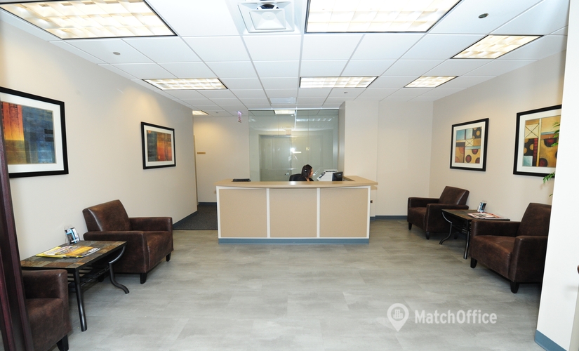 Virtual address in Chicago, IL, 205 North Michigan Avenue (60601) - 4 | MatchOffice