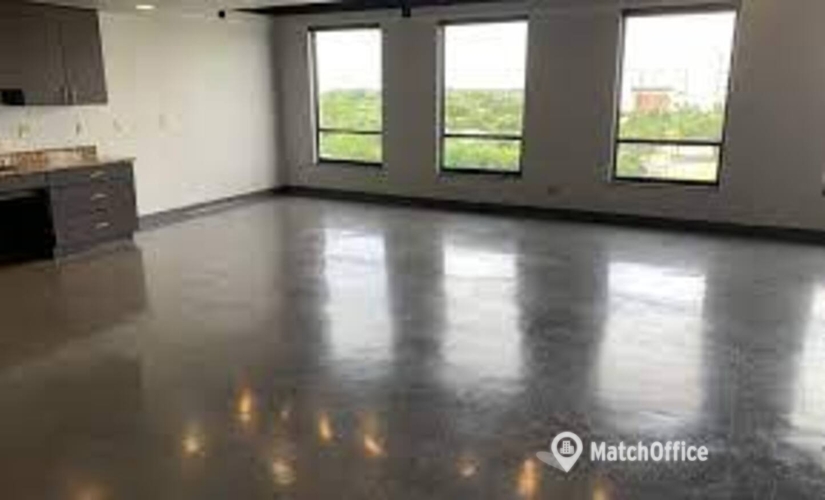 12000 m² Business center in Fort Lauderdale, FL, East Sunrise Boulevard 1975 (33304) - 4 | MatchOffice.com