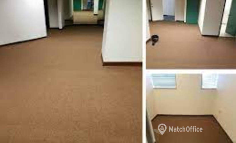 8667 m² Business park in Miami, FL, Northwest 62nd Street 2173 (33147) - 4 | MatchOffice