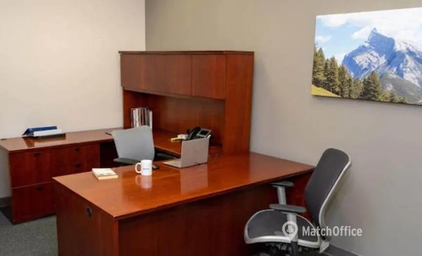 431 m² Serviced office in Berwyn, PA, Springbrooke Boulevard 100 (19014) - 4 | MatchOffice