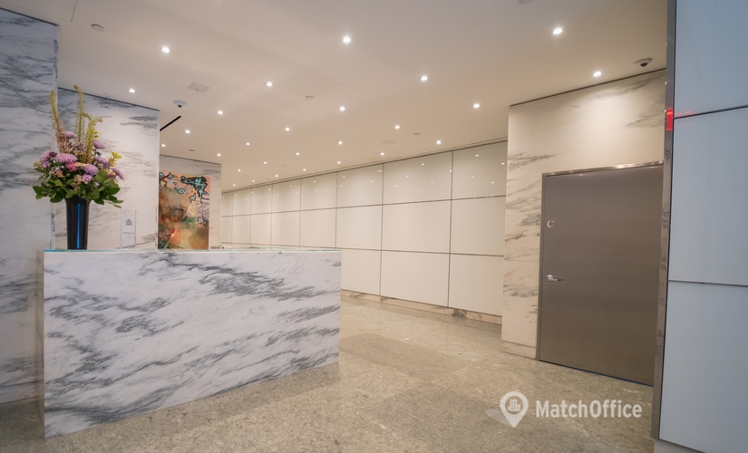 12000 m² Coworking  in New York Midtown East, NY, 3rd Avenue 880 (10022) - 3 | MatchOffice.com