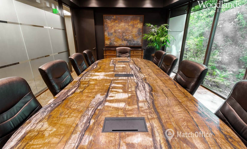  Meeting room in The Woodlands, TX, 1095 Evergreen Circle (77380) - 1 | MatchOffice