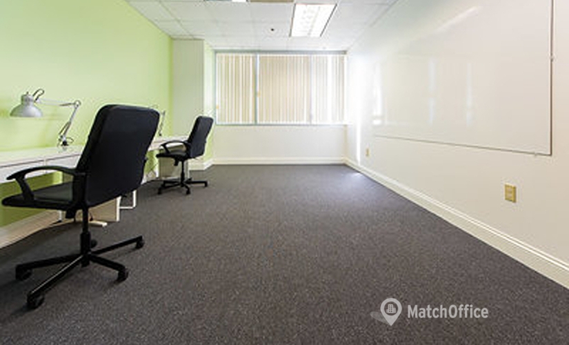 8000 m² Business space in Tampa, FL, 610 E Zack Street (33602) - 3 | MatchOffice