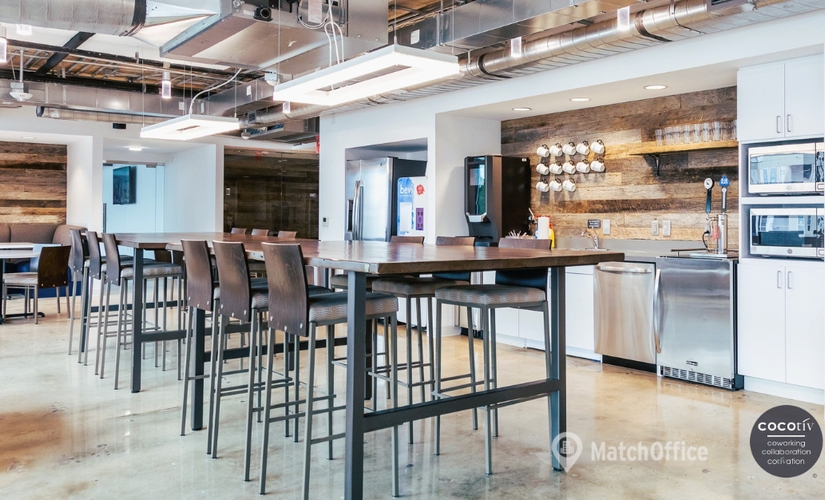 570 m² Shared office  in Charlotte, NC, Mockingbird Lane 1515 (28209) - 4 | MatchOffice