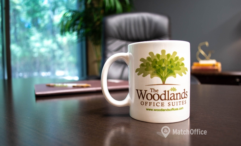  Meeting room in The Woodlands, TX, Evergreen Circle 1095 (77380) - 3 | MatchOffice