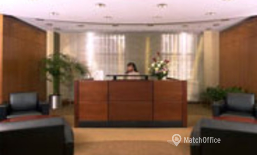 250 m² Serviced office place available to rent in New York Grand Central, NY, 1230 Avenue of the Americas (10020) - 4 | MatchOffice.com