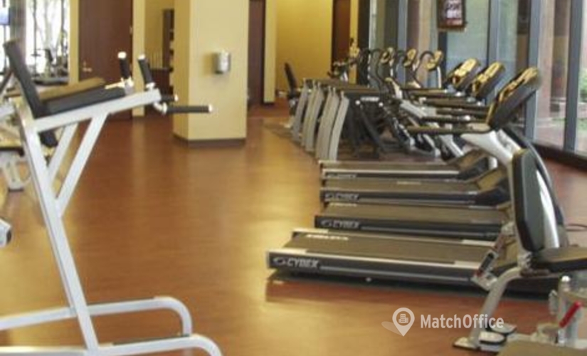 650 m² Serviced office property available to rent in Dallas, TX, 5001 Spring Valley Road (75244) - 4 | MatchOffice