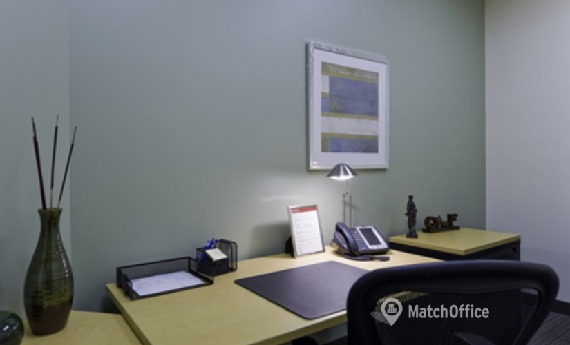 250 m² Business center property for rent in Allen, TX, 825 Market Street (75013) - 2 | MatchOffice