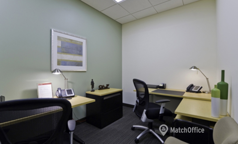 250 m² Business center place up for rent in Allen, TX, 825 Market Street (75013) - 3 | MatchOffice