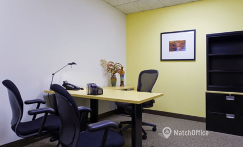 250 m² Business center in Atlanta, GA, 3340 Peachtree Road (30326) - 3 | MatchOffice.com
