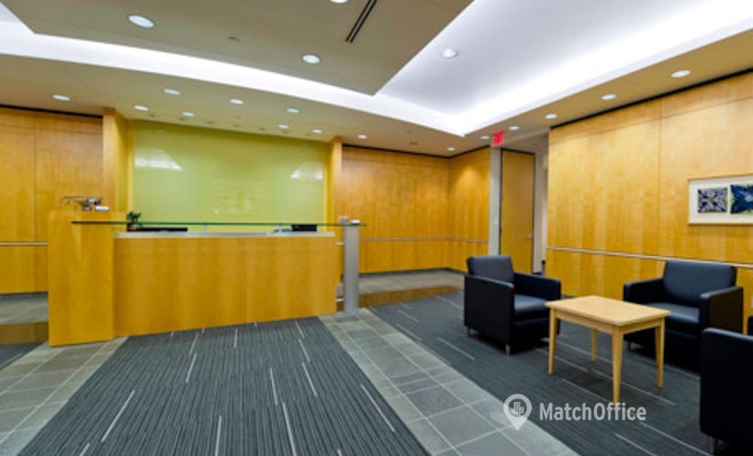 250 m² Business center in Bloomington, MN, 7760 France Avenue South (55435) - 1 | MatchOffice