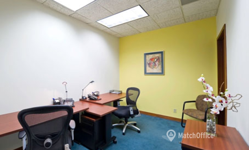250 m² Serviced office property up for rent in Boca Raton, FL, 2255 Glades Road (33431) - 4 | MatchOffice.com