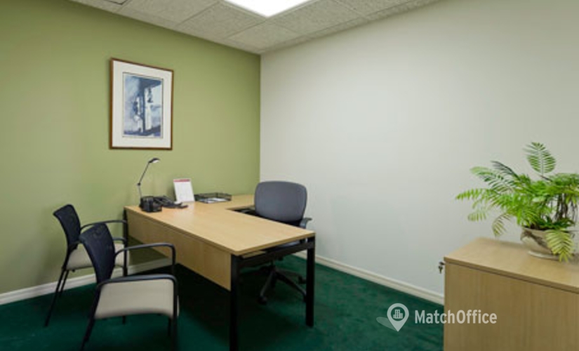 250 m² Business center in Boca Raton, FL, 433 Plaza Real (33432) - 2 | MatchOffice.com