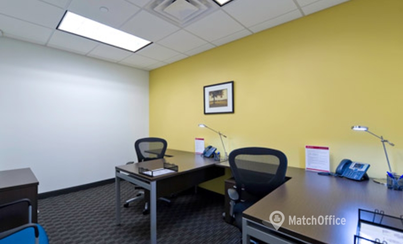 250 m² Serviced office in Miami, FL, 3390 Mary Street (33133) - 3 | MatchOffice