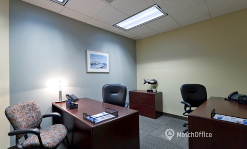 250 m² Business center place for rent in King of Prussia, PA, 630 Freedom Business Center (19406) - 1 | MatchOffice.com