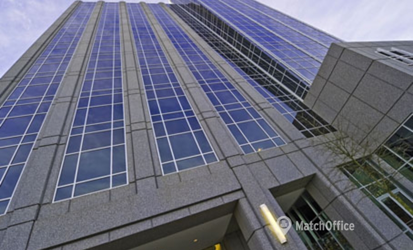 250 m² Business center in Raleigh, NC, 4208 Six Forks Road (27609) - 1 | MatchOffice