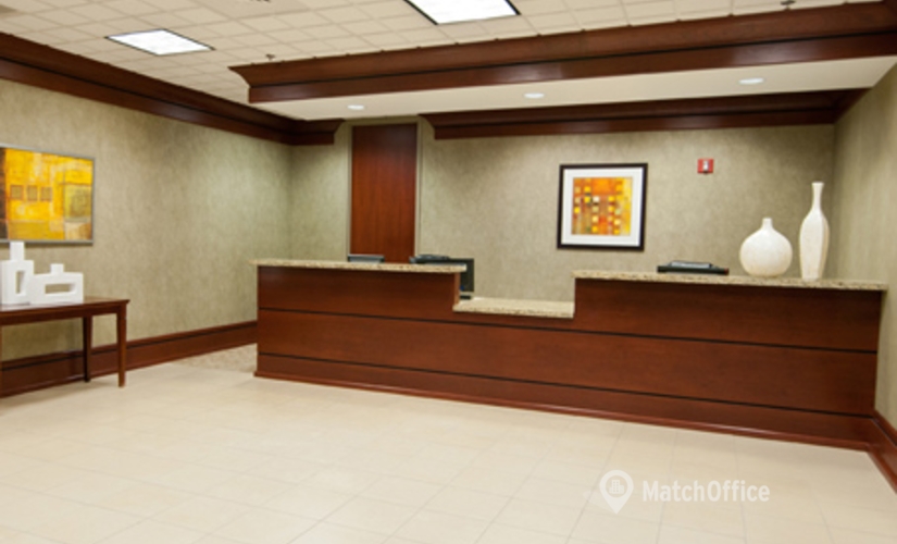 250 m² Serviced office property up for rent in Atlanta, GA, 3348 Peachtree Rd NE (30326) - 4 | MatchOffice.com