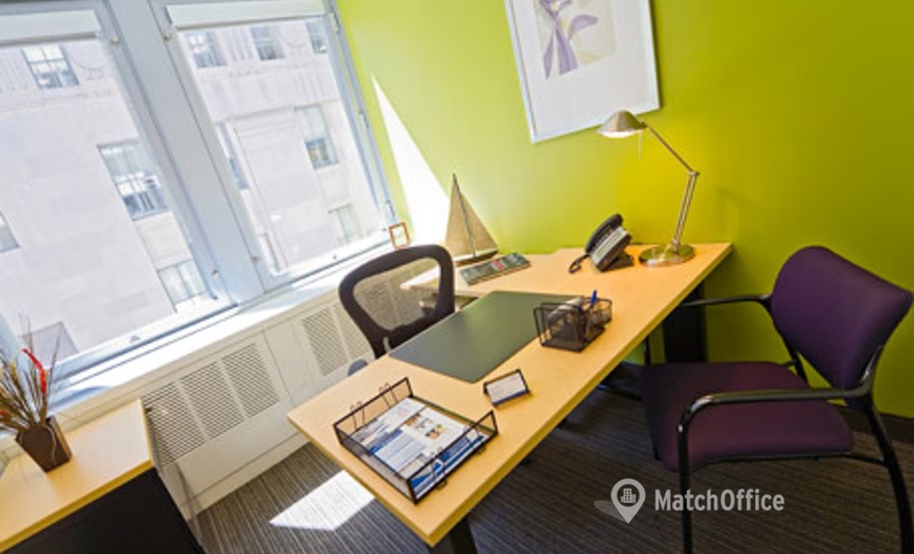 250 m² Business park place up for rent in New York Financial District, NY, 100 Church Street (10007) - 2 | MatchOffice.com