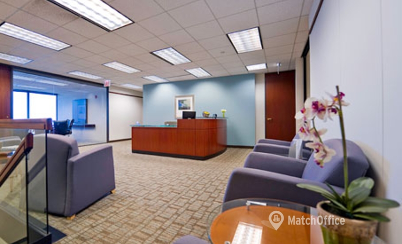 250 m² Business park property for rent in Oak Brook, IL, 1415 West 22nd Street (60523) - 4 | MatchOffice