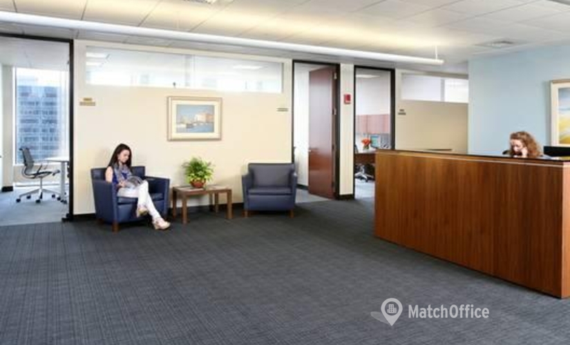 10226 m² Serviced office in Boston, MA, One Boston Place (02108) - 3 | MatchOffice